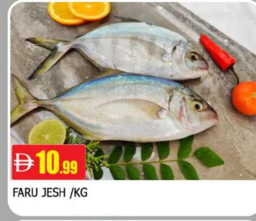 available at AL MADINA in UAE - Sharjah / Ajman