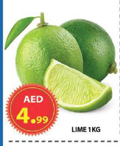 available at مركز الوحدة للتخفيضات in الإمارات العربية المتحدة , الامارات - الشارقة / عجمان