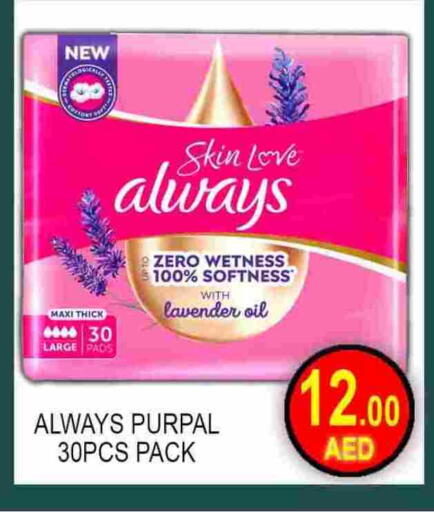 available at جرين جيفت متجر أقسام in الإمارات العربية المتحدة , الامارات - دبي