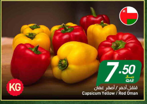 Capsicum from Oman available at ســبــار in قطر - الريان