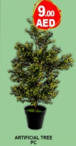 available at جرين جيفت متجر أقسام in الإمارات العربية المتحدة , الامارات - دبي