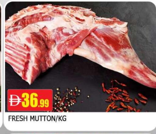 available at المدينة in الإمارات العربية المتحدة , الامارات - الشارقة / عجمان