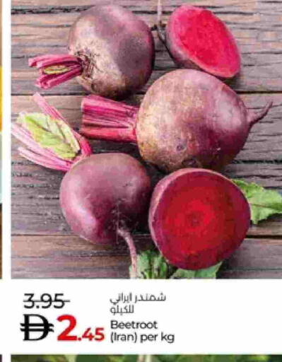 Beetroot from Iran available at لولو هايبرماركت in الإمارات العربية المتحدة , الامارات - ٱلْعَيْن‎