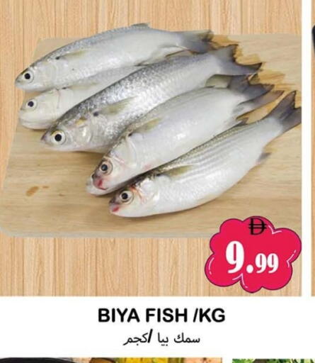 available at سوق المبارك هايبرماركت in الإمارات العربية المتحدة , الامارات - الشارقة / عجمان