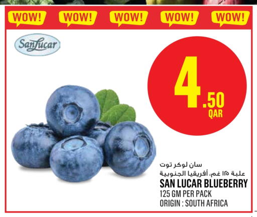 Blueberry BlueBerry from South Africa available at مونوبريكس in قطر - الضعاين