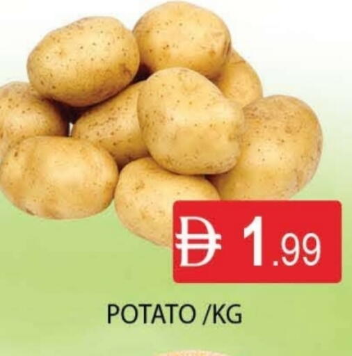 Potato available at AL MADINA (Dubai) in UAE - Dubai