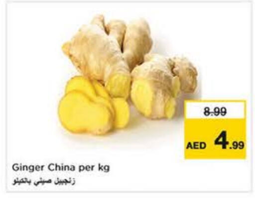 Ginger from China available at نستو هايبرماركت in الإمارات العربية المتحدة , الامارات - ٱلْفُجَيْرَة‎