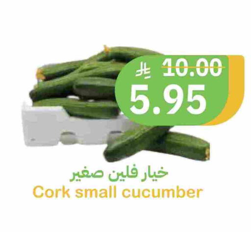 Cucumber available at Qateba Markets in KSA, Saudi Arabia, Saudi - Buraidah