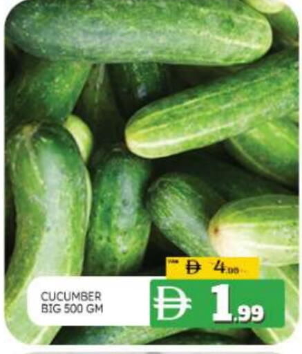 Cucumber available at المدينة in الإمارات العربية المتحدة , الامارات - ٱلْعَيْن‎