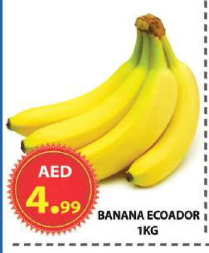 Banana available at مركز الوحدة للتخفيضات in الإمارات العربية المتحدة , الامارات - الشارقة / عجمان