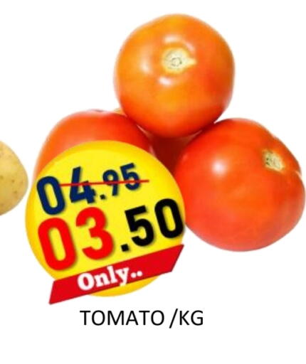 Tomato available at ROYAL GULF HYPERMARKET LLC in UAE - Abu Dhabi
