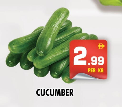 Cucumber available at نايت تو نايت in الإمارات العربية المتحدة , الامارات - الشارقة / عجمان