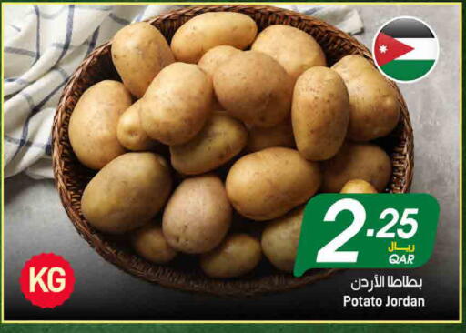 Potato from Jordan available at ســبــار in قطر - أم صلال