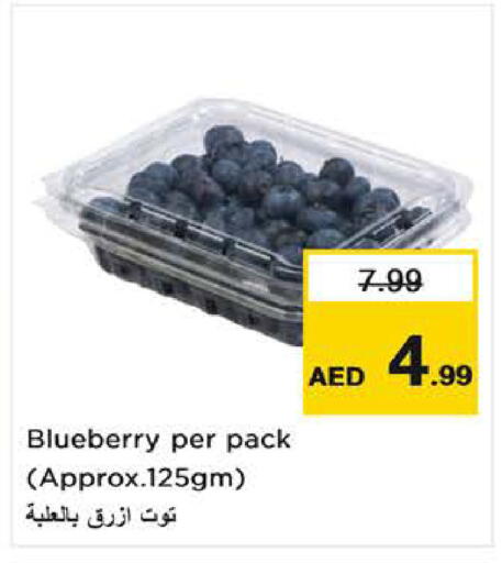 Blueberry BlueBerry available at نستو هايبرماركت in الإمارات العربية المتحدة , الامارات - الشارقة / عجمان