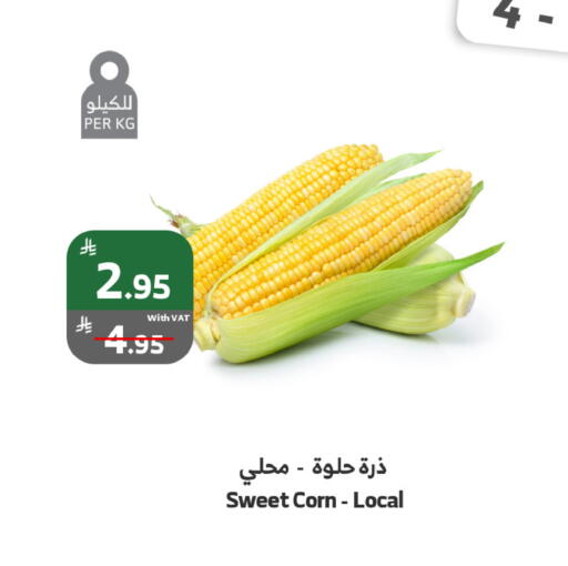 available at Al Raya in KSA, Saudi Arabia, Saudi - Al Bahah