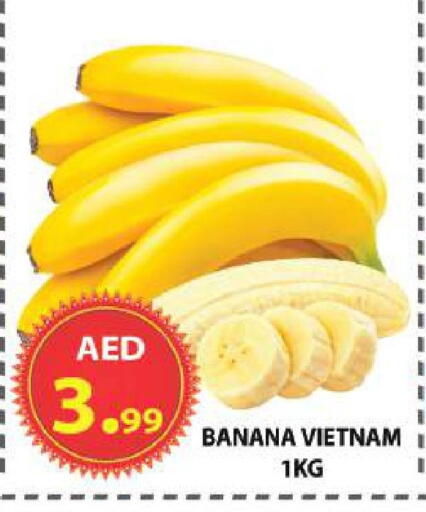 Banana from Vietnam available at مركز الوحدة للتخفيضات in الإمارات العربية المتحدة , الامارات - الشارقة / عجمان