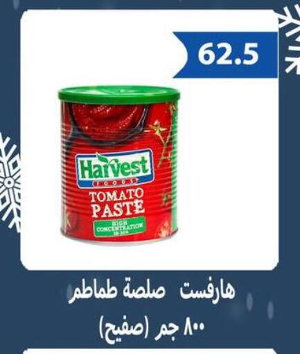 Tomato available at Hyper Samy Salama Sons in Egypt - Cairo