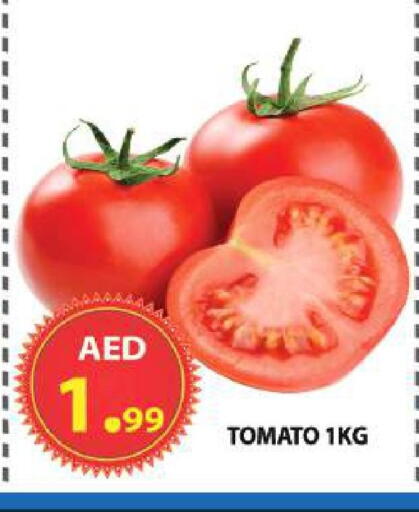 Tomato available at مركز الوحدة للتخفيضات in الإمارات العربية المتحدة , الامارات - الشارقة / عجمان