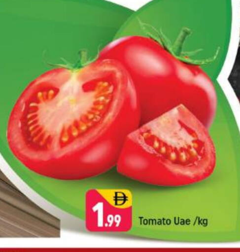 Tomato available at Shaklan  in UAE - Dubai