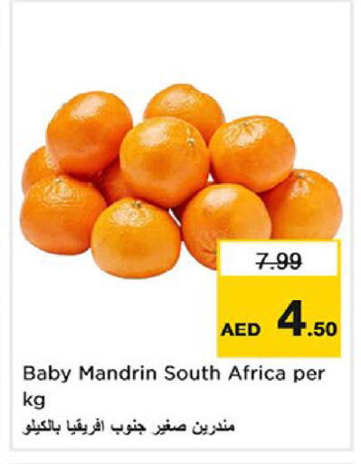 from South Africa available at لاست تشانس in الإمارات العربية المتحدة , الامارات - ٱلْفُجَيْرَة‎