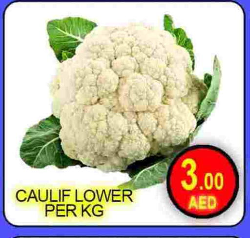 available at Green Gift Department Store in UAE - Dubai