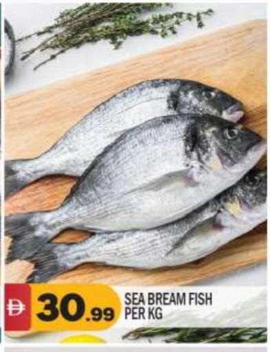 available at بيج مارت in الإمارات العربية المتحدة , الامارات - أبو ظبي