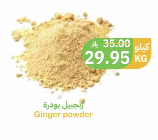 Ginger available at أسواق قاطبة in مملكة العربية السعودية, السعودية, سعودية - بريدة
