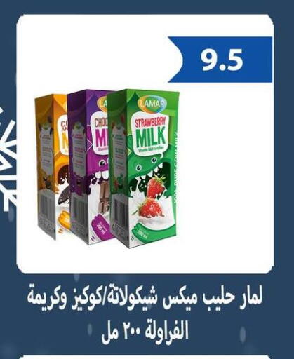 Strawberry available at Hyper Samy Salama Sons in Egypt - Cairo