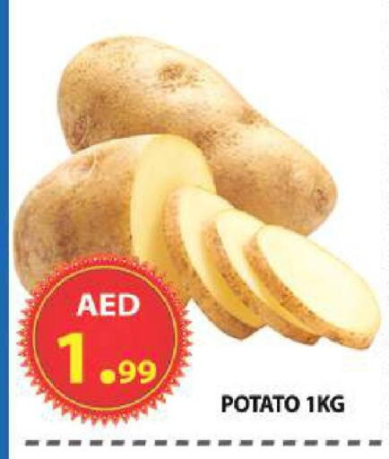 Potato available at مركز الوحدة للتخفيضات in الإمارات العربية المتحدة , الامارات - الشارقة / عجمان