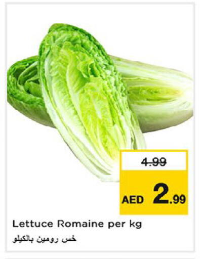 Lettuce available at لاست تشانس in الإمارات العربية المتحدة , الامارات - ٱلْفُجَيْرَة‎
