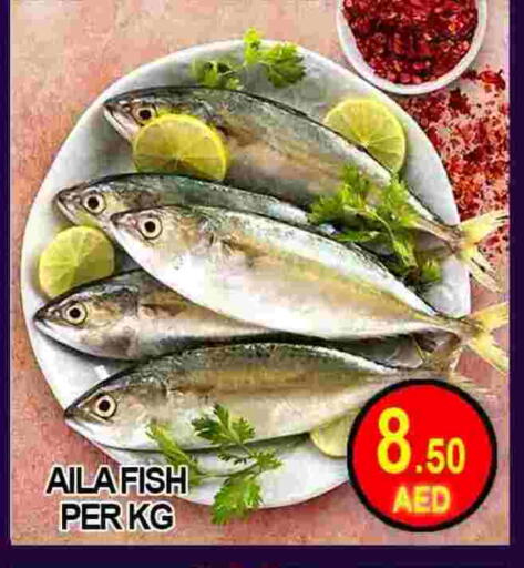 available at Green Gift Department Store in UAE - Dubai