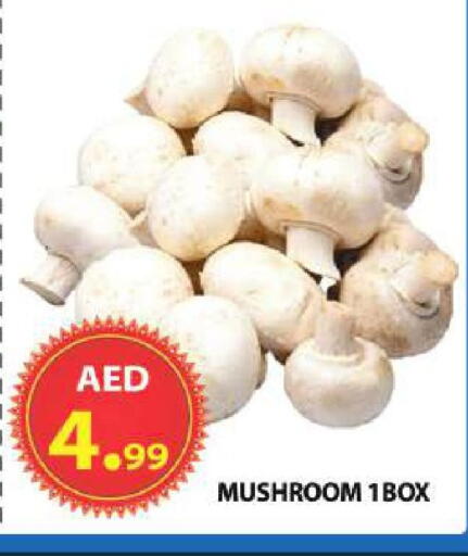 Mushroom available at مركز الوحدة للتخفيضات in الإمارات العربية المتحدة , الامارات - الشارقة / عجمان
