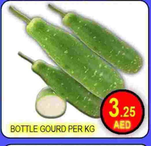 available at Green Gift Department Store in UAE - Dubai