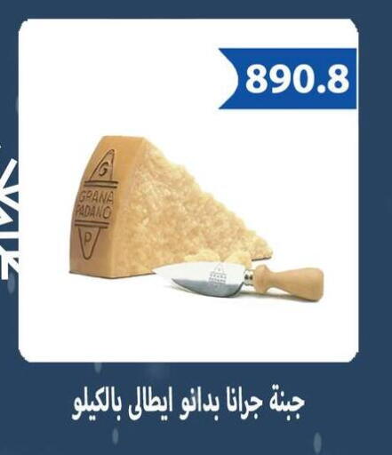 available at Hyper Samy Salama Sons in Egypt - Cairo