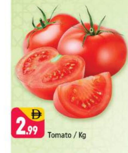 Tomato available at Shaklan  in UAE - Dubai