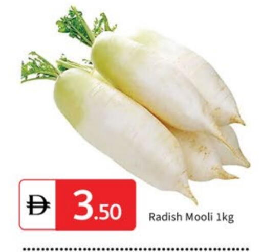 Radish available at سوق طلال in الإمارات العربية المتحدة , الامارات - الشارقة / عجمان