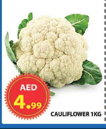 Cauliflower available at مركز الوحدة للتخفيضات in الإمارات العربية المتحدة , الامارات - الشارقة / عجمان