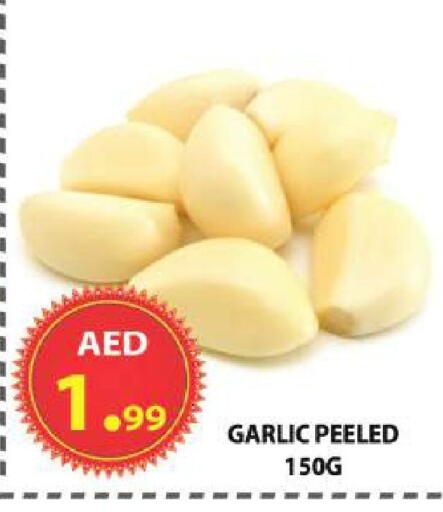 Garlic available at مركز الوحدة للتخفيضات in الإمارات العربية المتحدة , الامارات - الشارقة / عجمان