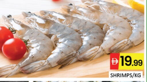 Mango available at مانجو هايبرماركت in الإمارات العربية المتحدة , الامارات - دبي