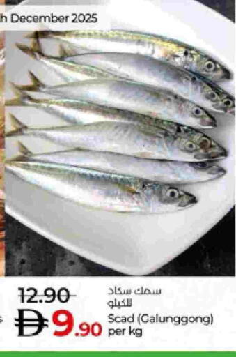 available at لولو هايبرماركت in الإمارات العربية المتحدة , الامارات - ٱلْعَيْن‎