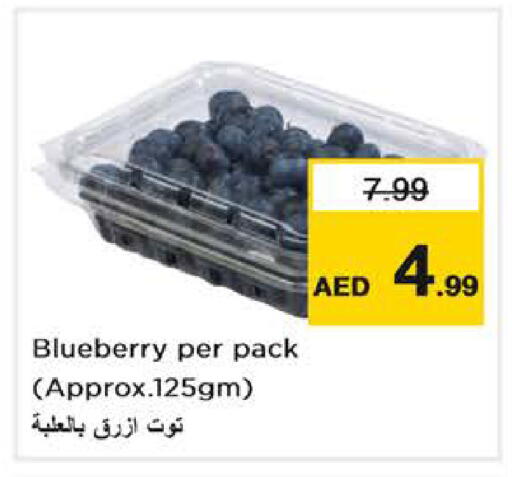 Blueberry BlueBerry available at Nesto Hypermarket in UAE - Abu Dhabi