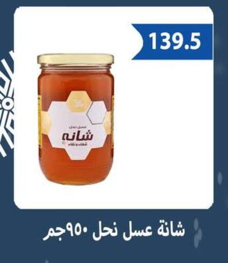 available at Hyper Samy Salama Sons in Egypt - Cairo
