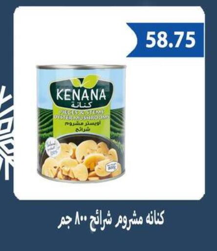 available at Hyper Samy Salama Sons in Egypt - Cairo