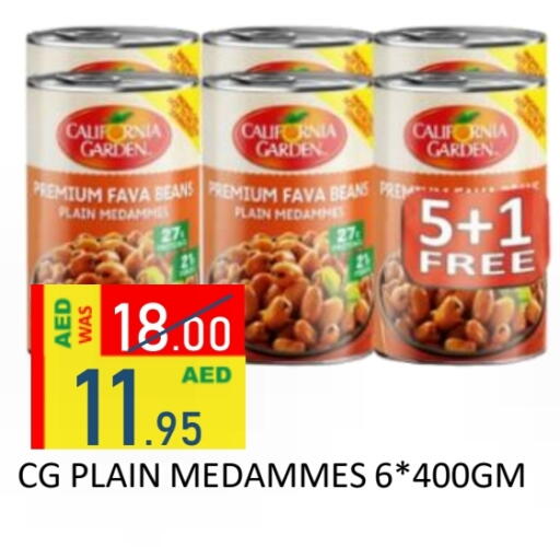 available at رويال جلف هايبرماركت in الإمارات العربية المتحدة , الامارات - أبو ظبي