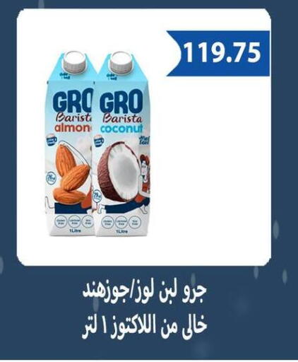 Coconut available at هايبر سامي سلامة وأولاده in Egypt - القاهرة