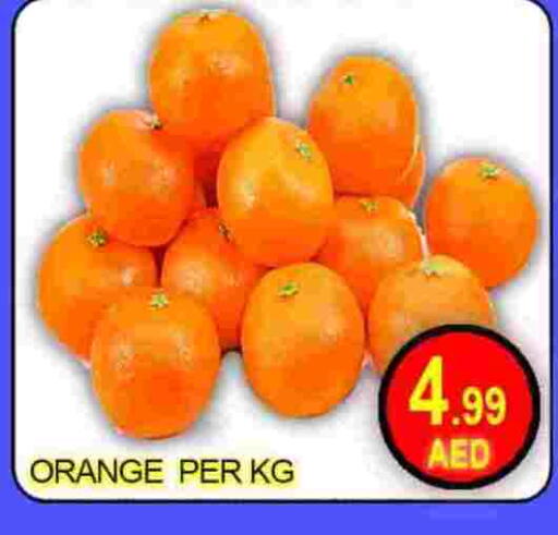 Orange available at جرين جيفت متجر أقسام in الإمارات العربية المتحدة , الامارات - دبي