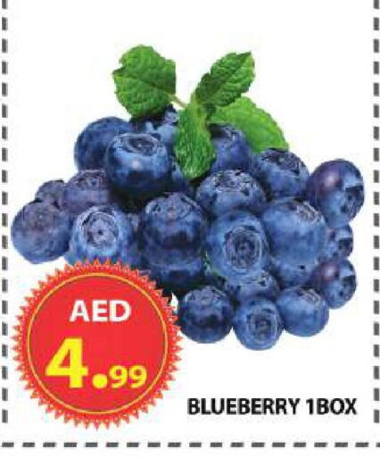 Blueberry BlueBerry available at مركز الوحدة للتخفيضات in الإمارات العربية المتحدة , الامارات - الشارقة / عجمان