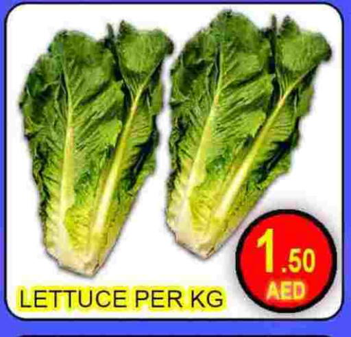 Lettuce available at Green Gift Department Store in UAE - Dubai