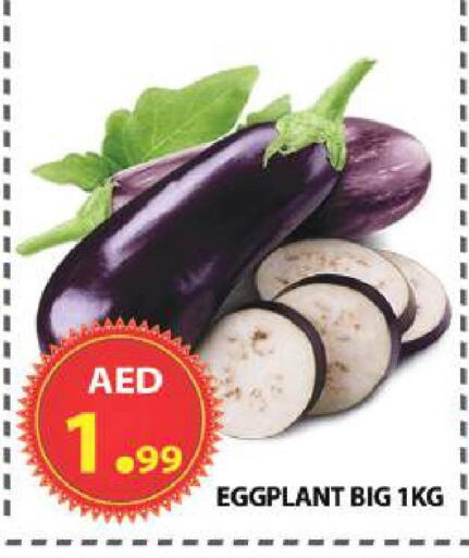 Eggplant available at مركز الوحدة للتخفيضات in الإمارات العربية المتحدة , الامارات - الشارقة / عجمان