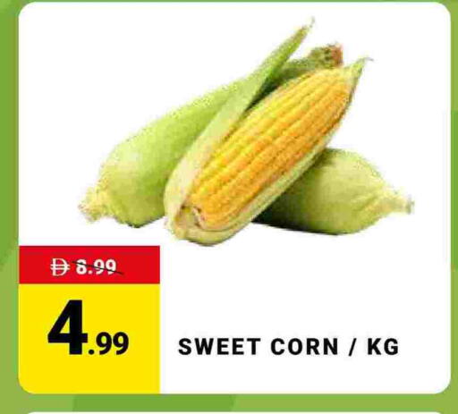 available at مدهور سوبرماركت in الإمارات العربية المتحدة , الامارات - الشارقة / عجمان